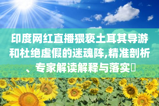 印度網(wǎng)紅直播猥褻土耳其導游和杜絕虛假的迷魂陣,精準剖析、專家解讀解釋與落實?