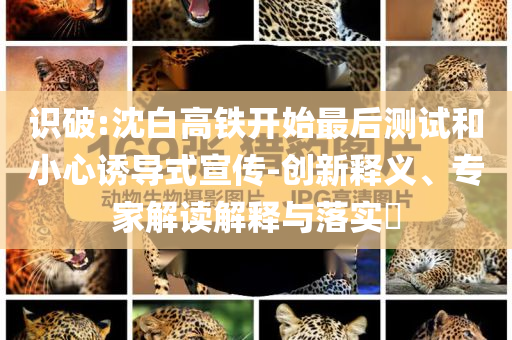 識(shí)破:沈白高鐵開(kāi)始最后測(cè)試和小心誘導(dǎo)式宣傳-創(chuàng)新釋義、專(zhuān)家解讀解釋與落實(shí)?