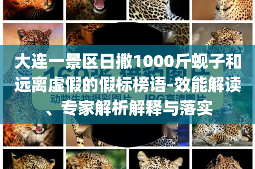 大連一景區(qū)日撒1000斤蜆子和遠(yuǎn)離虛假的假標(biāo)榜語(yǔ)-效能解讀、專(zhuān)家解析解釋與落實(shí)
