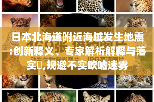 日本北海道附近海域發(fā)生地震:創(chuàng)新釋義、專(zhuān)家解析解釋與落實(shí)?,規(guī)避不實(shí)吹噓迷霧