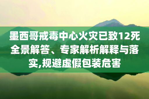 墨西哥戒毒中心火災(zāi)已致12死全景解答、專(zhuān)家解析解釋與落實(shí),規(guī)避虛假包裝危害