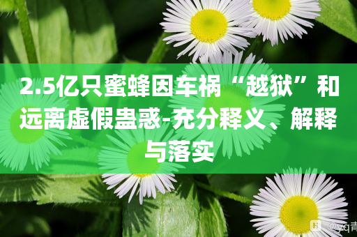 2.5億只蜜蜂因車(chē)禍“越獄”和遠(yuǎn)離虛假蠱惑-充分釋義、解釋與落實(shí)