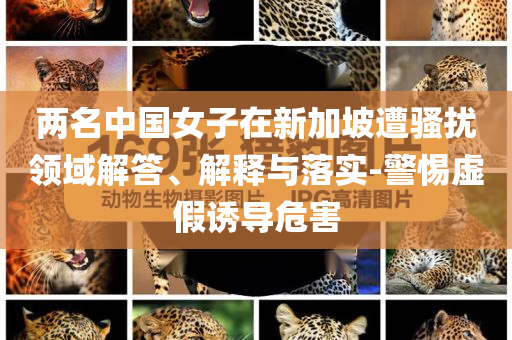 兩名中國(guó)女子在新加坡遭騷擾領(lǐng)域解答、解釋與落實(shí)-警惕虛假誘導(dǎo)危害