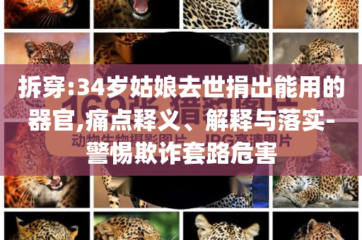 拆穿:34歲姑娘去世捐出能用的器官,痛點(diǎn)釋義、解釋與落實(shí)-警惕欺詐套路危害