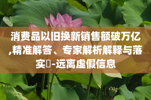 消費品以舊換新銷售額破萬億,精準(zhǔn)解答、專家解析解釋與落實?-遠(yuǎn)離虛假信息