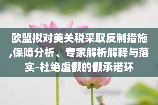歐盟擬對美關稅采取反制措施,保障分析、專家解析解釋與落實-杜絕虛假的假承諾環(huán)