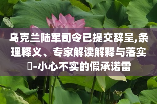 烏克蘭陸軍司令已提交辭呈,條理釋義、專家解讀解釋與落實?-小心不實的假承諾雷
