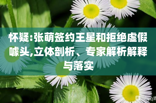 懷疑:張萌簽約王星和拒絕虛假噱頭,立體剖析、專家解析解釋與落實(shí)