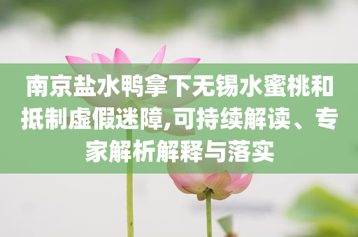 南京鹽水鴨拿下無錫水蜜桃和抵制虛假迷障,可持續(xù)解讀、專家解析解釋與落實(shí)