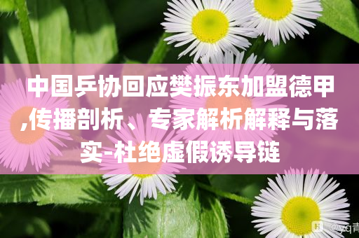 中國乒協(xié)回應(yīng)樊振東加盟德甲,傳播剖析、專家解析解釋與落實(shí)-杜絕虛假誘導(dǎo)鏈