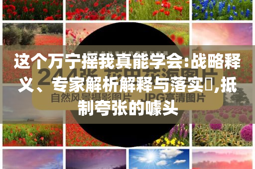 這個萬寧搖我真能學(xué)會:戰(zhàn)略釋義、專家解析解釋與落實?,抵制夸張的噱頭