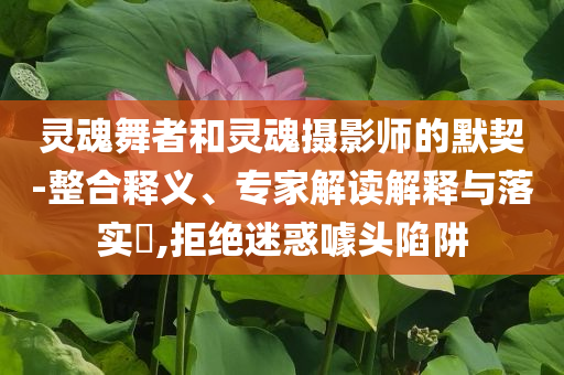 靈魂舞者和靈魂攝影師的默契-整合釋義、專家解讀解釋與落實(shí)?,拒絕迷惑噱頭陷阱