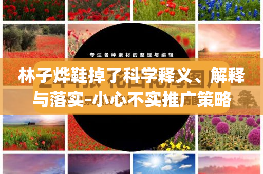 林子燁鞋掉了科學(xué)釋義、解釋與落實(shí)-小心不實(shí)推廣策略