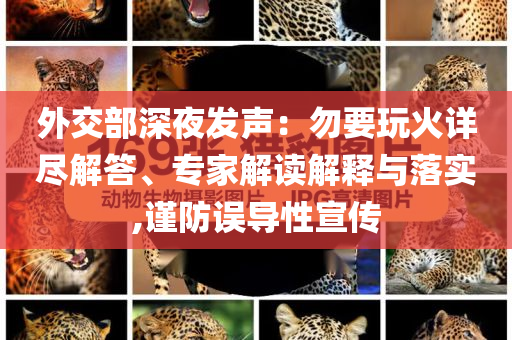 外交部深夜發(fā)聲：勿要玩火詳盡解答、專家解讀解釋與落實(shí),謹(jǐn)防誤導(dǎo)性宣傳