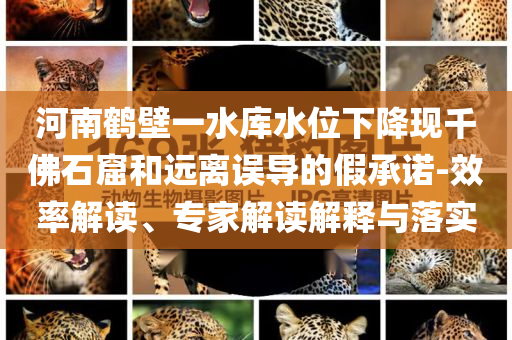 河南鶴壁一水庫水位下降現(xiàn)千佛石窟和遠離誤導(dǎo)的假承諾-效率解讀、專家解讀解釋與落實