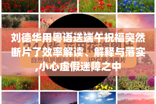 劉德華用粵語送端午祝福突然斷片了效率解讀、解釋與落實(shí),小心虛假迷障之中