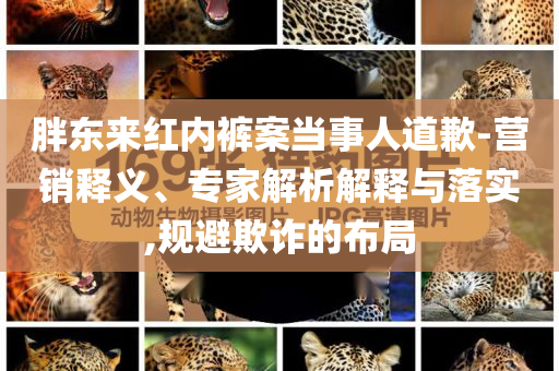 胖東來紅內(nèi)褲案當(dāng)事人道歉-營銷釋義、專家解析解釋與落實(shí),規(guī)避欺詐的布局
