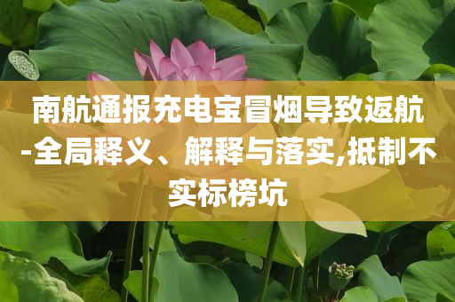 南航通報(bào)充電寶冒煙導(dǎo)致返航-全局釋義、解釋與落實(shí),抵制不實(shí)標(biāo)榜坑