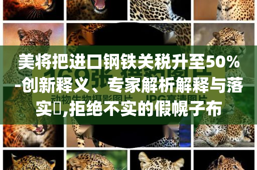 美將把進口鋼鐵關(guān)稅升至50%-創(chuàng)新釋義、專家解析解釋與落實?,拒絕不實的假幌子布