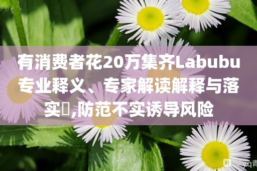有消費者花20萬集齊Labubu專業(yè)釋義、專家解讀解釋與落實?,防范不實誘導風險