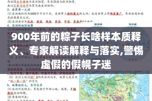 900年前的粽子長啥樣本質釋義、專家解讀解釋與落實,警惕虛假的假幌子迷
