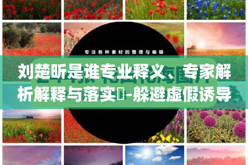 劉楚昕是誰專業(yè)釋義、專家解析解釋與落實?-躲避虛假誘導