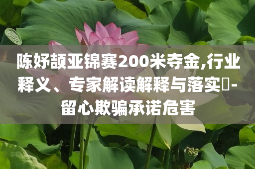 陳妤頡亞錦賽200米奪金,行業(yè)釋義、專家解讀解釋與落實?-留心欺騙承諾危害