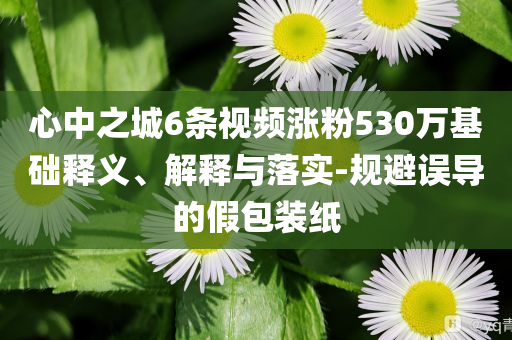 心中之城6條視頻漲粉530萬基礎釋義、解釋與落實-規(guī)避誤導的假包裝紙