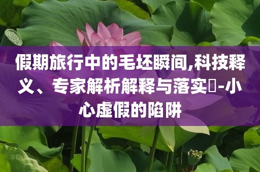假期旅行中的毛坯瞬間,科技釋義、專家解析解釋與落實(shí)?-小心虛假的陷阱