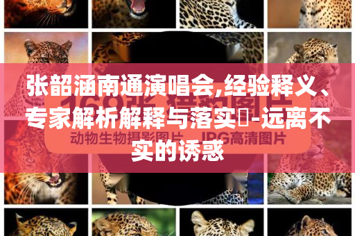 張韶涵南通演唱會(huì),經(jīng)驗(yàn)釋義、專家解析解釋與落實(shí)?-遠(yuǎn)離不實(shí)的誘惑