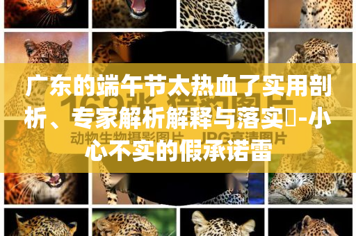廣東的端午節(jié)太熱血了實用剖析、專家解析解釋與落實?-小心不實的假承諾雷