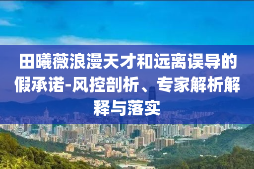 田曦薇浪漫天才和遠離誤導的假承諾-風控剖析、專家解析解釋與落實