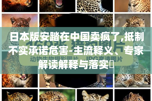 日本版安踏在中國賣瘋了,抵制不實承諾危害-主流釋義、專家解讀解釋與落實?