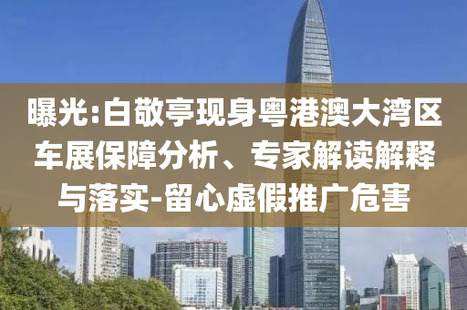 曝光:白敬亭現(xiàn)身粵港澳大灣區(qū)車展保障分析、專家解讀解釋與落實(shí)-留心虛假推廣危害