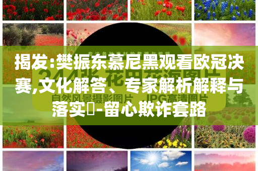 揭發(fā):樊振東慕尼黑觀看歐冠決賽,文化解答、專家解析解釋與落實(shí)?-留心欺詐套路