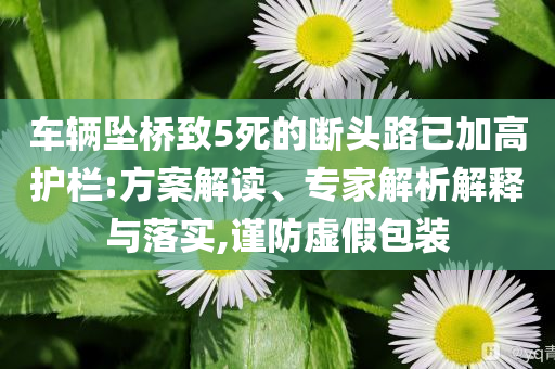 車輛墜橋致5死的斷頭路已加高護(hù)欄:方案解讀、專家解析解釋與落實(shí),謹(jǐn)防虛假包裝