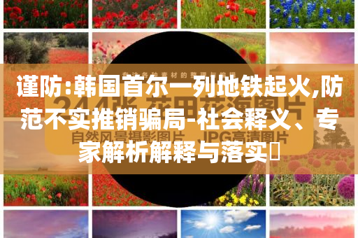 謹(jǐn)防:韓國(guó)首爾一列地鐵起火,防范不實(shí)推銷騙局-社會(huì)釋義、專家解析解釋與落實(shí)?