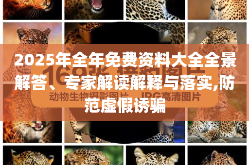 2025年全年免費資料大全全景解答、專家解讀解釋與落實,防范虛假誘騙