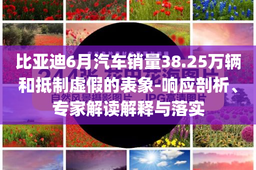 比亞迪6月汽車銷量38.25萬輛和抵制虛假的表象-響應(yīng)剖析、專家解讀解釋與落實