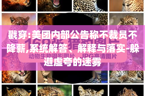 戳穿:美團內(nèi)部公告稱不裁員不降薪,系統(tǒng)解答、解釋與落實-躲避虛夸的迷霧