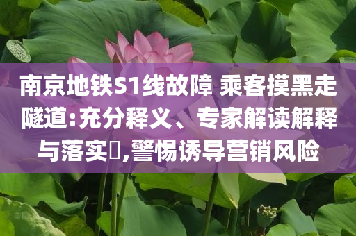 南京地鐵S1線(xiàn)故障 乘客摸黑走隧道:充分釋義、專(zhuān)家解讀解釋與落實(shí)?,警惕誘導(dǎo)營(yíng)銷(xiāo)風(fēng)險(xiǎn)