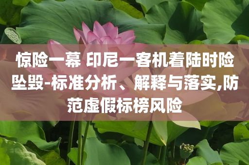 驚險(xiǎn)一幕 印尼一客機(jī)著陸時(shí)險(xiǎn)墜毀-標(biāo)準(zhǔn)分析、解釋與落實(shí),防范虛假標(biāo)榜風(fēng)險(xiǎn)