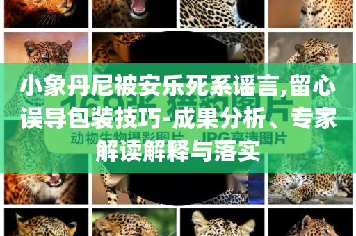 小象丹尼被安樂死系謠言,留心誤導(dǎo)包裝技巧-成果分析、專家解讀解釋與落實(shí)
