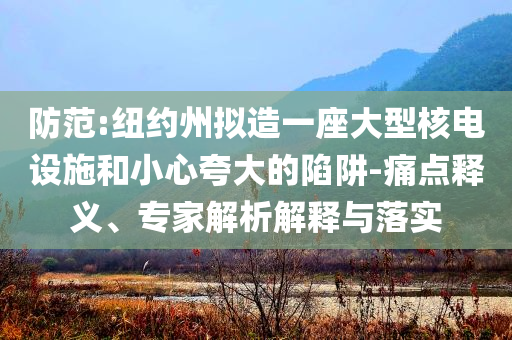 防范:紐約州擬造一座大型核電設(shè)施和小心夸大的陷阱-痛點釋義、專家解析解釋與落實