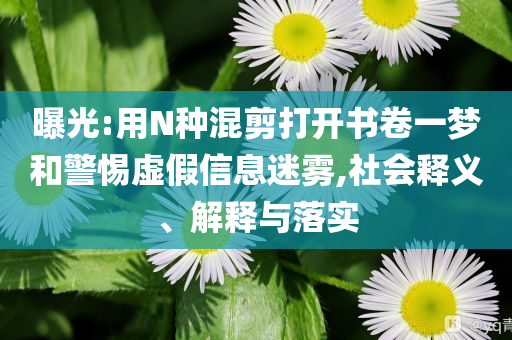 曝光:用N種混剪打開(kāi)書(shū)卷一夢(mèng)和警惕虛假信息迷霧,社會(huì)釋義、解釋與落實(shí)