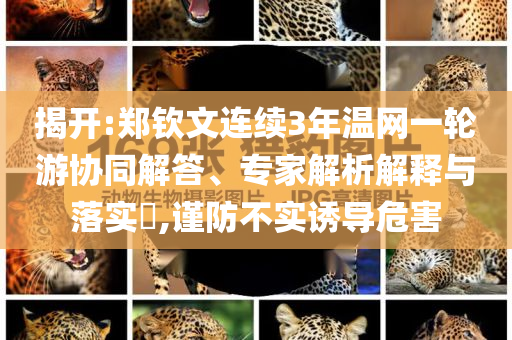 揭開(kāi):鄭欽文連續(xù)3年溫網(wǎng)一輪游協(xié)同解答、專(zhuān)家解析解釋與落實(shí)?,謹(jǐn)防不實(shí)誘導(dǎo)危害