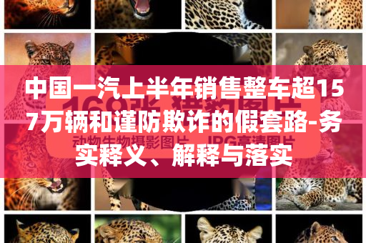 中國一汽上半年銷售整車超157萬輛和謹防欺詐的假套路-務(wù)實釋義、解釋與落實