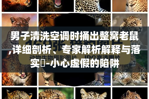 男子清洗空調(diào)時(shí)捅出整窩老鼠,詳細(xì)剖析、專家解析解釋與落實(shí)?-小心虛假的陷阱