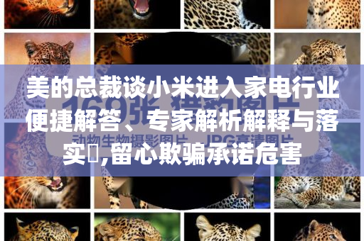 美的總裁談小米進(jìn)入家電行業(yè)便捷解答、專家解析解釋與落實?,留心欺騙承諾危害