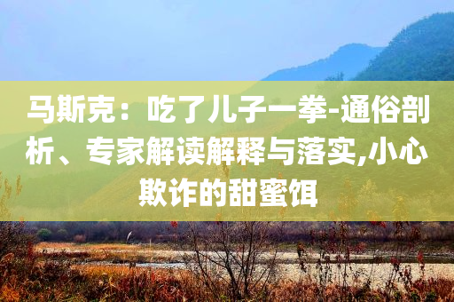 馬斯克：吃了兒子一拳-通俗剖析、專家解讀解釋與落實,小心欺詐的甜蜜餌